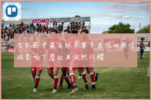 各队薪资最高球员赛季表现回顾伤病影响下詹杜库依然闪耀